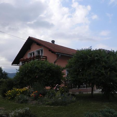 Guesthouse Blazenka Hodak Селище Дрезницко Екстериор снимка