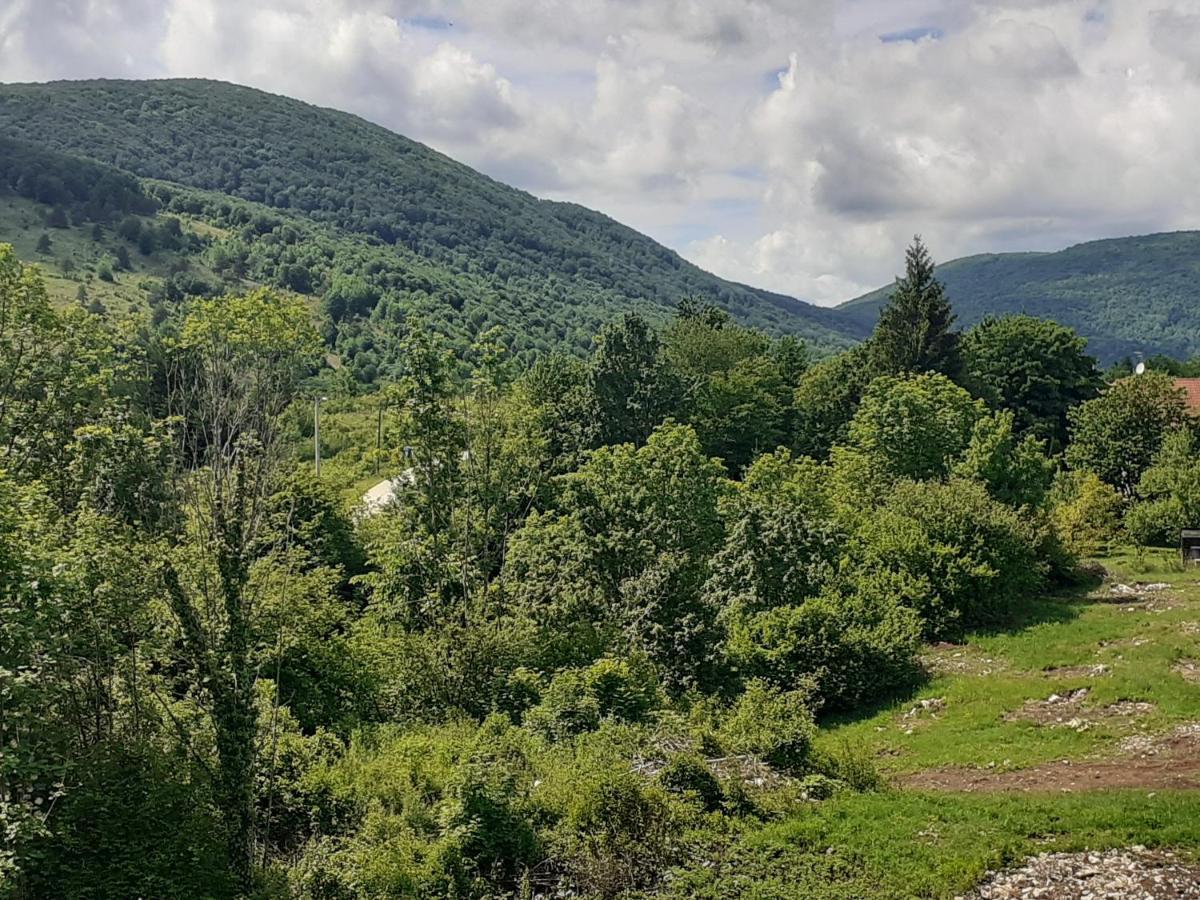 Guesthouse Blazenka Hodak Селище Дрезницко Екстериор снимка