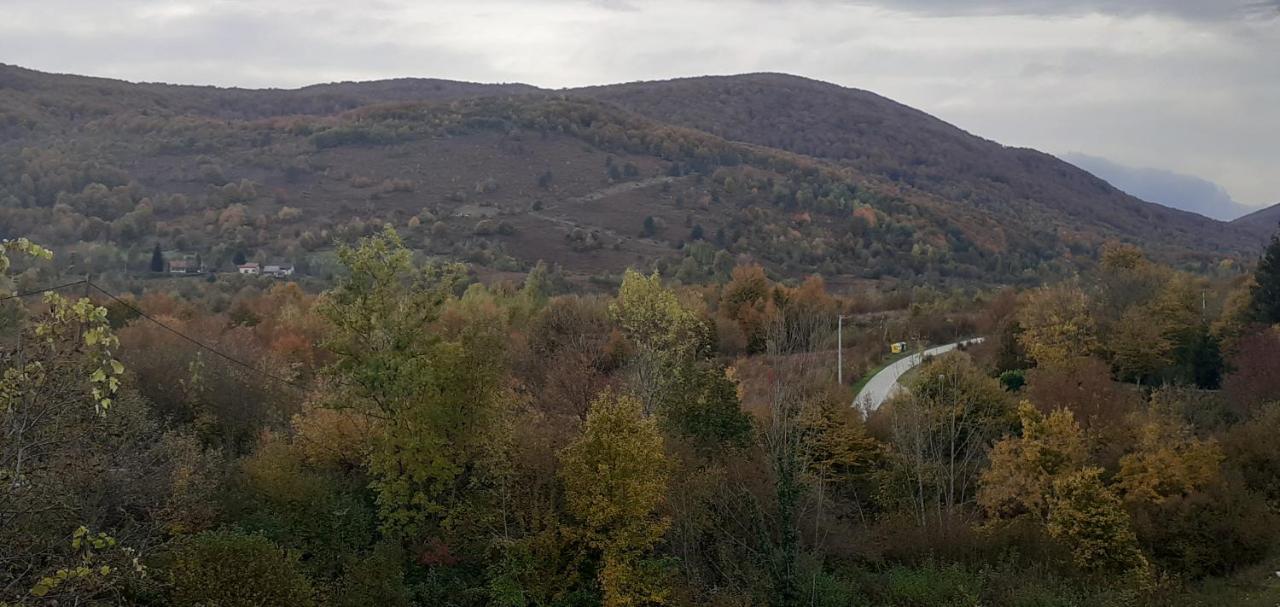 Guesthouse Blazenka Hodak Селище Дрезницко Екстериор снимка