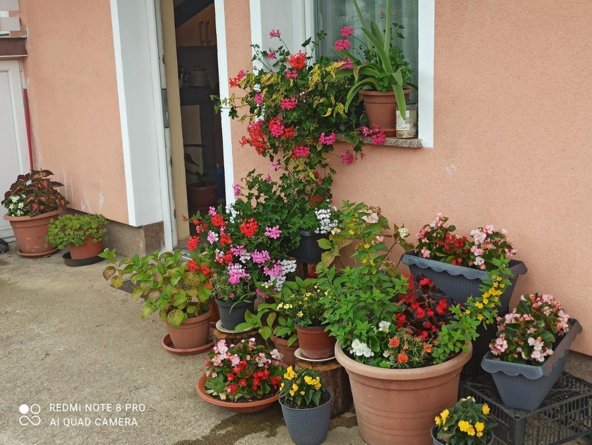 Guesthouse Blazenka Hodak Селище Дрезницко Екстериор снимка