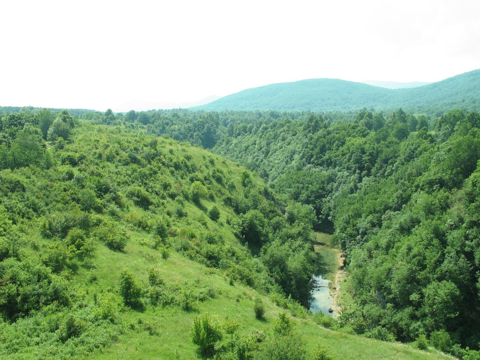 Guesthouse Blazenka Hodak Селище Дрезницко Екстериор снимка
