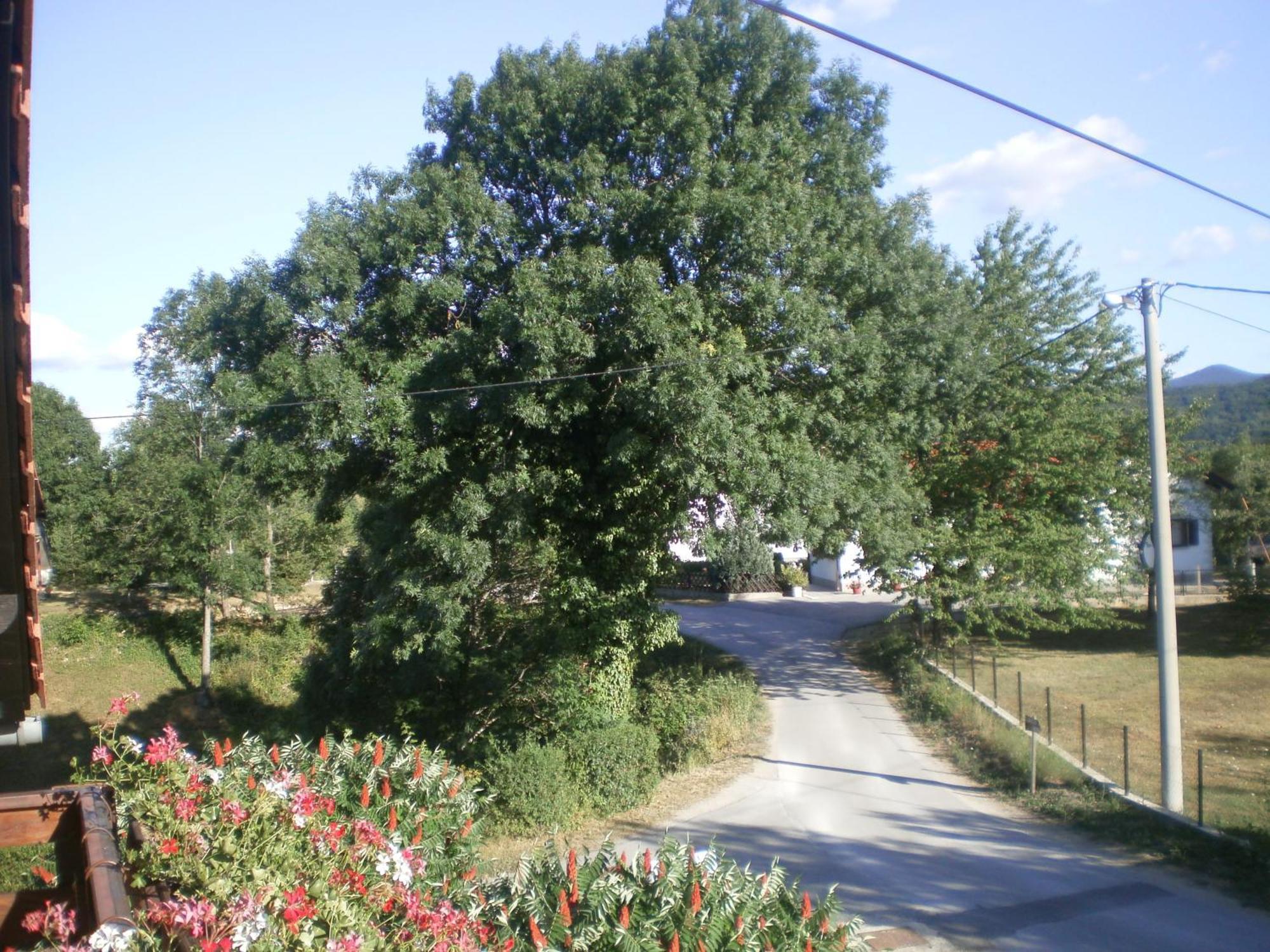 Guesthouse Blazenka Hodak Селище Дрезницко Екстериор снимка