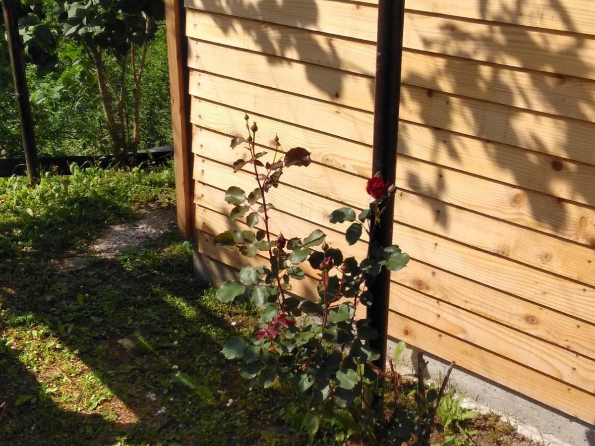 Guesthouse Blazenka Hodak Селище Дрезницко Екстериор снимка