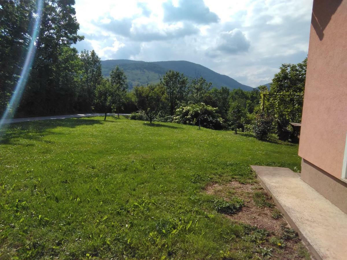 Guesthouse Blazenka Hodak Селище Дрезницко Екстериор снимка