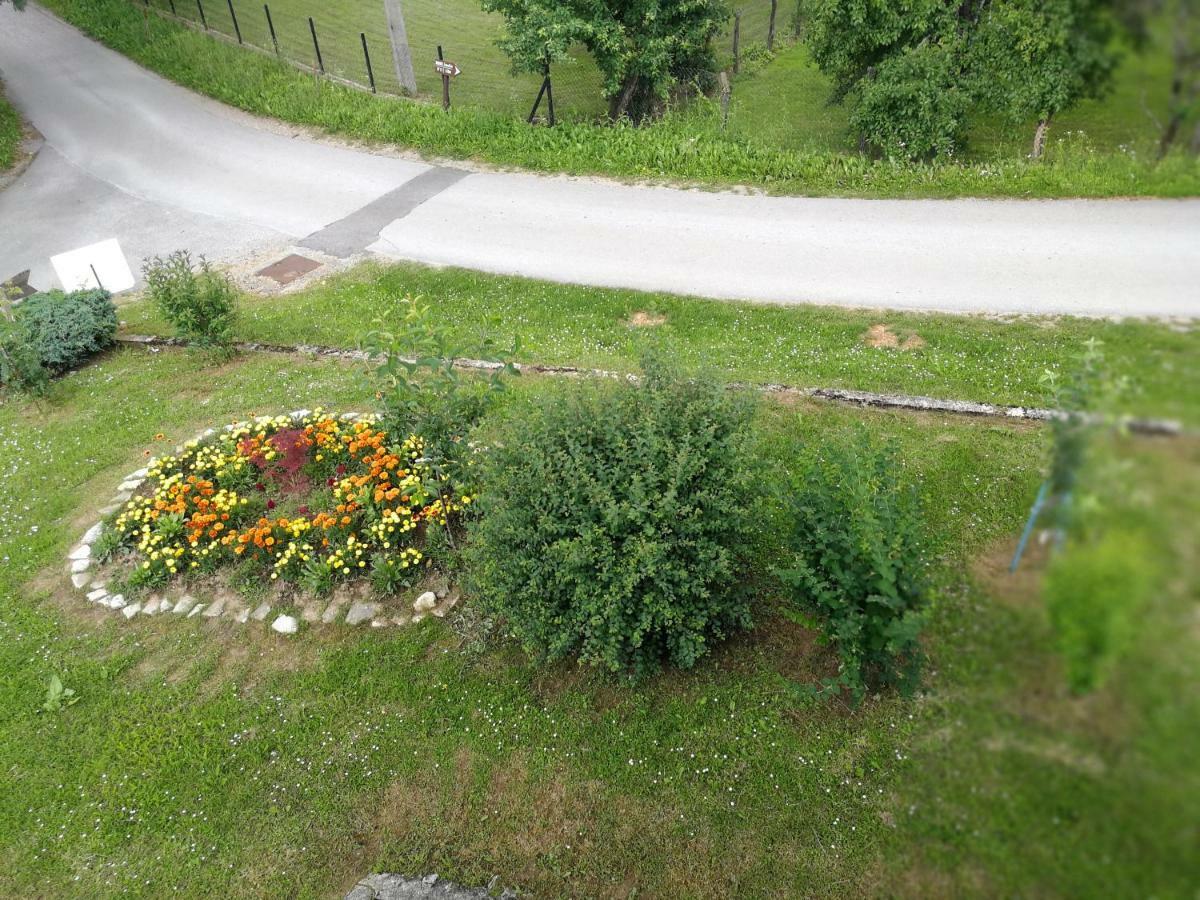 Guesthouse Blazenka Hodak Селище Дрезницко Екстериор снимка