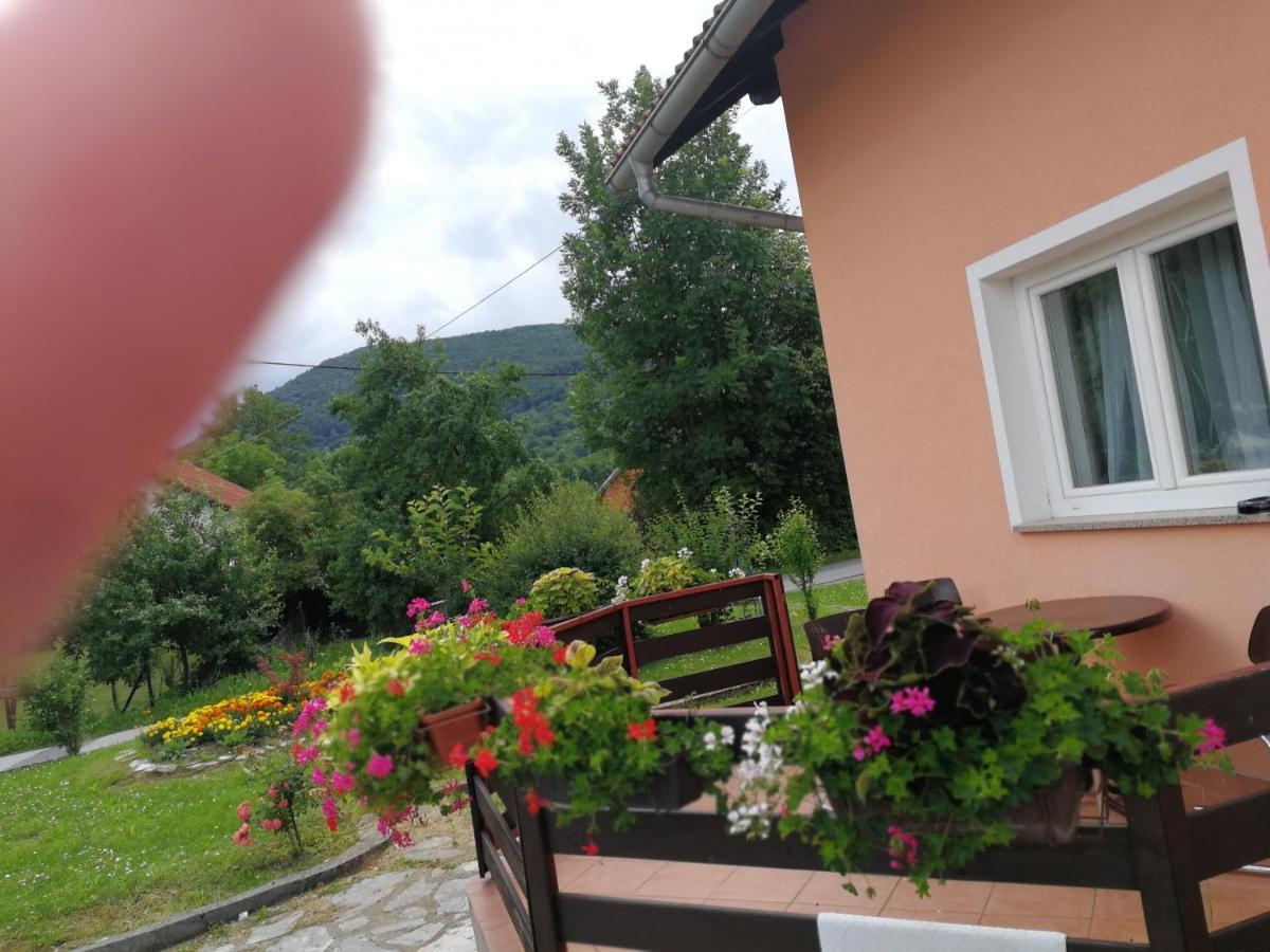 Guesthouse Blazenka Hodak Селище Дрезницко Екстериор снимка